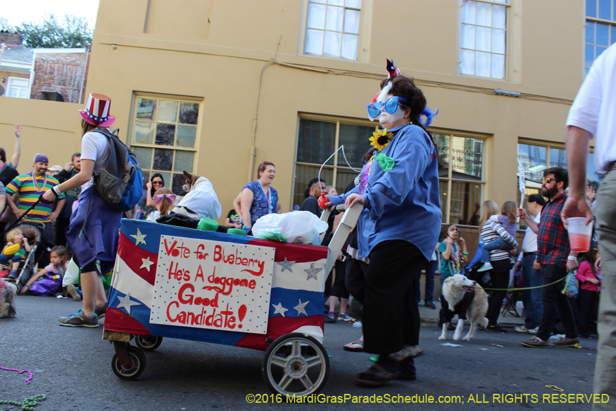 2016-Mystic-Krewe-of-Barkus-hc005479