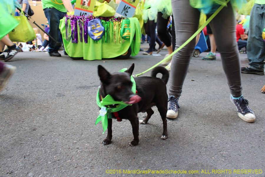 2016-Mystic-Krewe-of-Barkus-hc005481