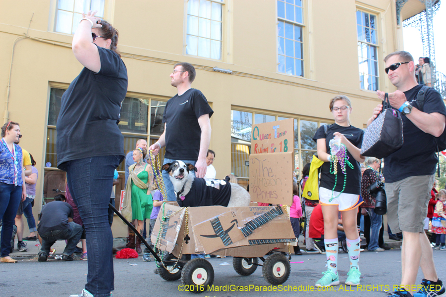 2016-Mystic-Krewe-of-Barkus-hc005483