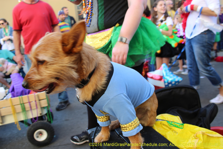2016-Mystic-Krewe-of-Barkus-hc005493