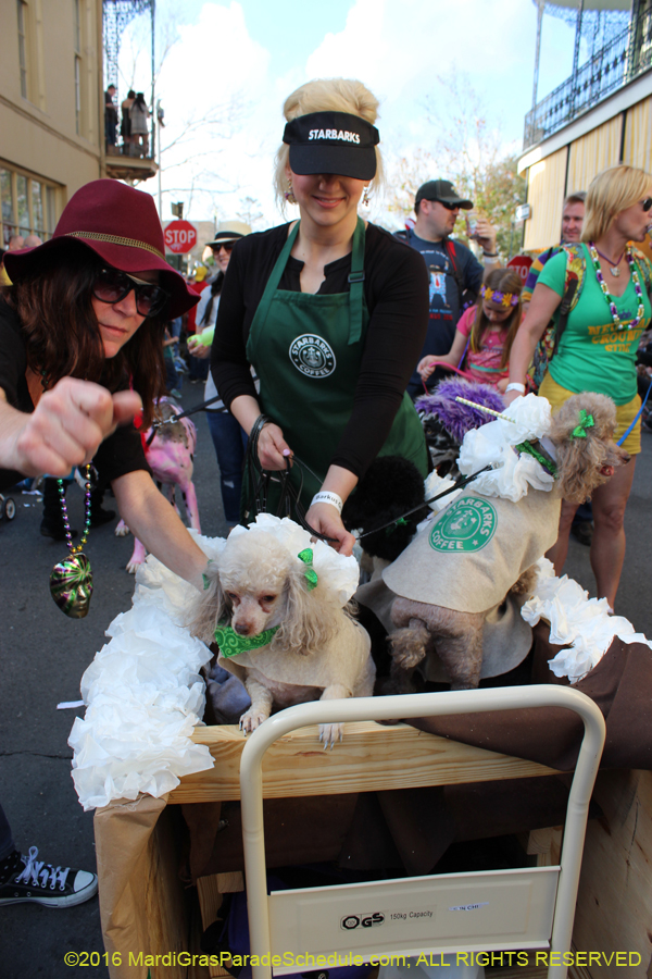 2016-Mystic-Krewe-of-Barkus-hc005500