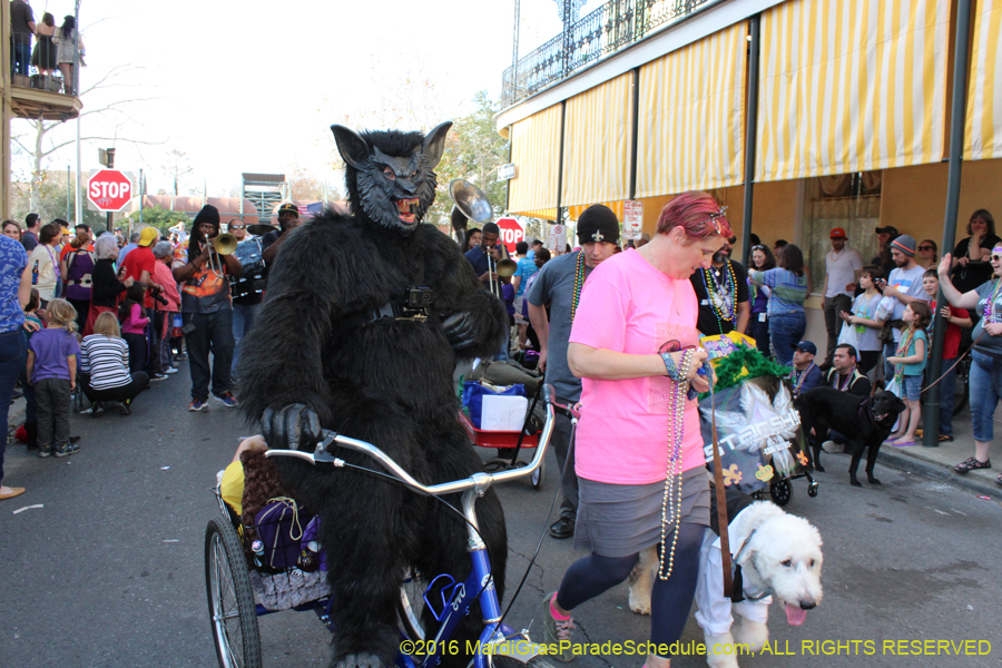 2016-Mystic-Krewe-of-Barkus-hc005503