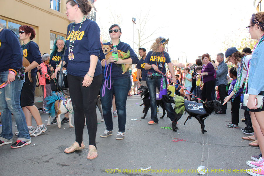 2016-Mystic-Krewe-of-Barkus-hc005510