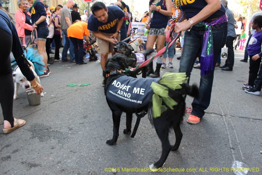 2016-Mystic-Krewe-of-Barkus-hc005512
