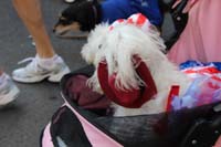 2016-Mystic-Krewe-of-Barkus-hc005427