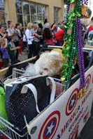 2016-Mystic-Krewe-of-Barkus-hc005437