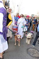 2016-Mystic-Krewe-of-Barkus-hc005442