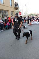 2016-Mystic-Krewe-of-Barkus-hc005448