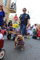 2016-Mystic-Krewe-of-Barkus-hc005454