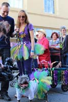 2016-Mystic-Krewe-of-Barkus-hc005461