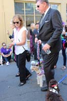 2016-Mystic-Krewe-of-Barkus-hc005470
