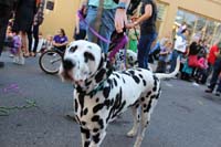 2016-Mystic-Krewe-of-Barkus-hc005471