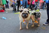 2016-Mystic-Krewe-of-Barkus-hc005472