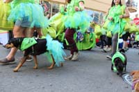 2016-Mystic-Krewe-of-Barkus-hc005480