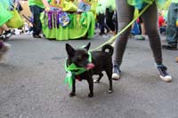 2016-Mystic-Krewe-of-Barkus-hc005481