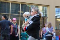 2016-Mystic-Krewe-of-Barkus-hc005482