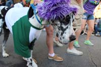 2016-Mystic-Krewe-of-Barkus-hc005501