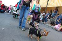 2016-Mystic-Krewe-of-Barkus-hc005502