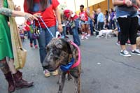 2016-Mystic-Krewe-of-Barkus-hc005504
