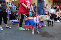 2016-Mystic-Krewe-of-Barkus-hc005505