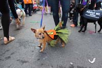 2016-Mystic-Krewe-of-Barkus-hc005511