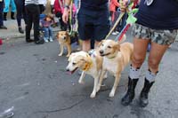2016-Mystic-Krewe-of-Barkus-hc005515