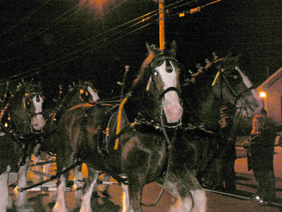 CEASAR PARADE MG 2007 H. CROSS 017