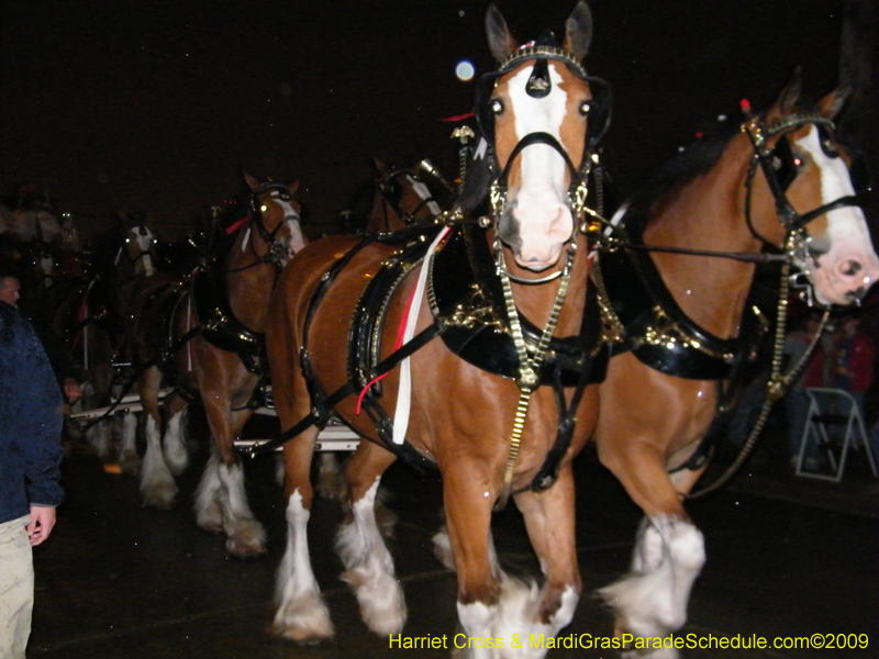 2009-Krewe-of-Caesar-Metairie-Louisiana-Mardi-Gras-Harriet-Cross-6660