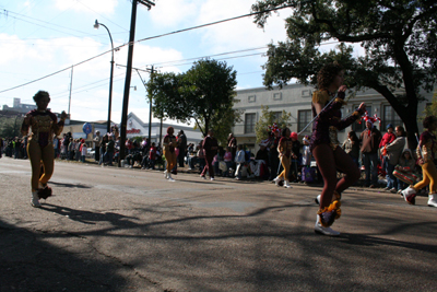 2008-Krewe-of-Carrollton-Mardi-Gras-2008-New-Orleans-0074