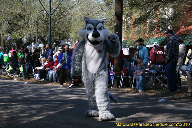 Krewe-of-Carrollton-New-Orleans-Mardi-Gras-4500