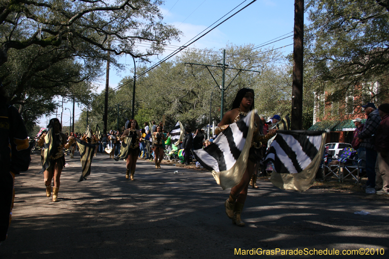 Krewe-of-Carrollton-New-Orleans-Mardi-Gras-4535