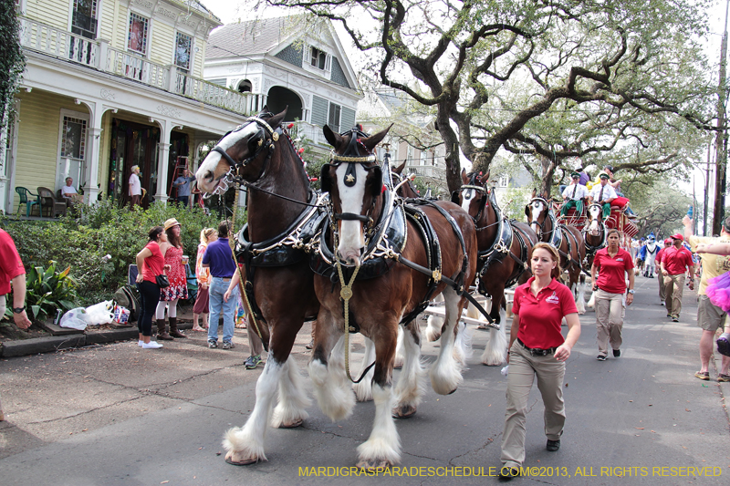 Krewe-of-Carrollton-2013-1004