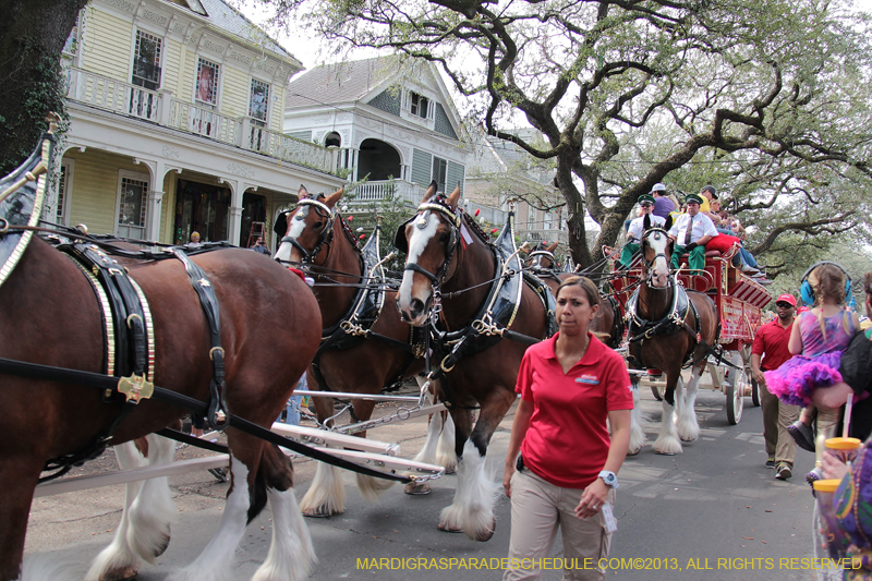 Krewe-of-Carrollton-2013-1005