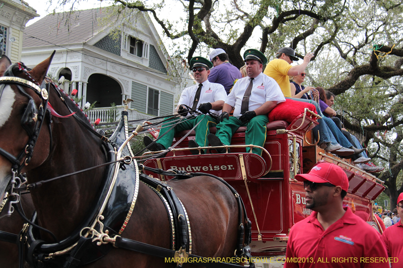 Krewe-of-Carrollton-2013-1006