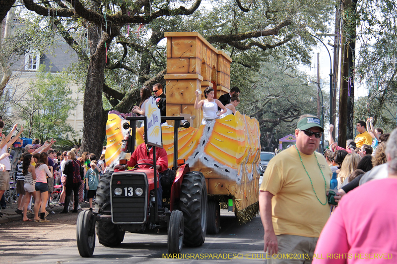 Krewe-of-Carrollton-2013-1063