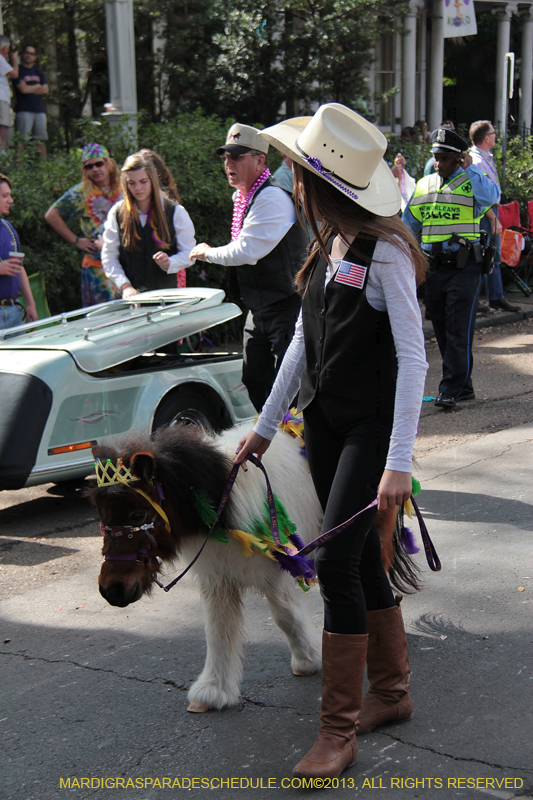 Krewe-of-Carrollton-2013-1117