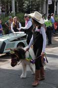 Krewe-of-Carrollton-2013-1117