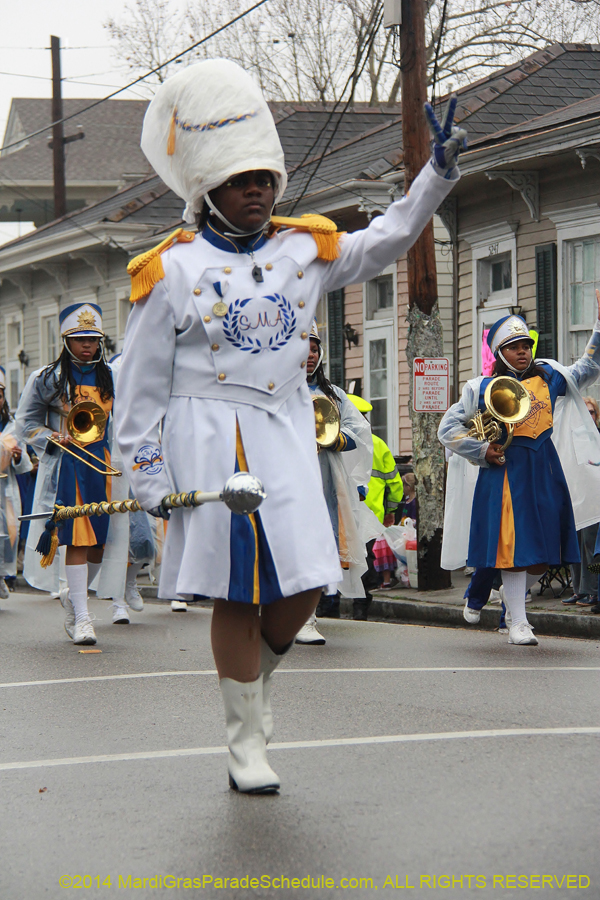 2014-Krewe-of-Carrollton11044