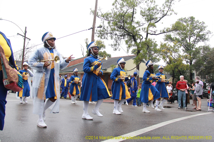 2014-Krewe-of-Carrollton11046