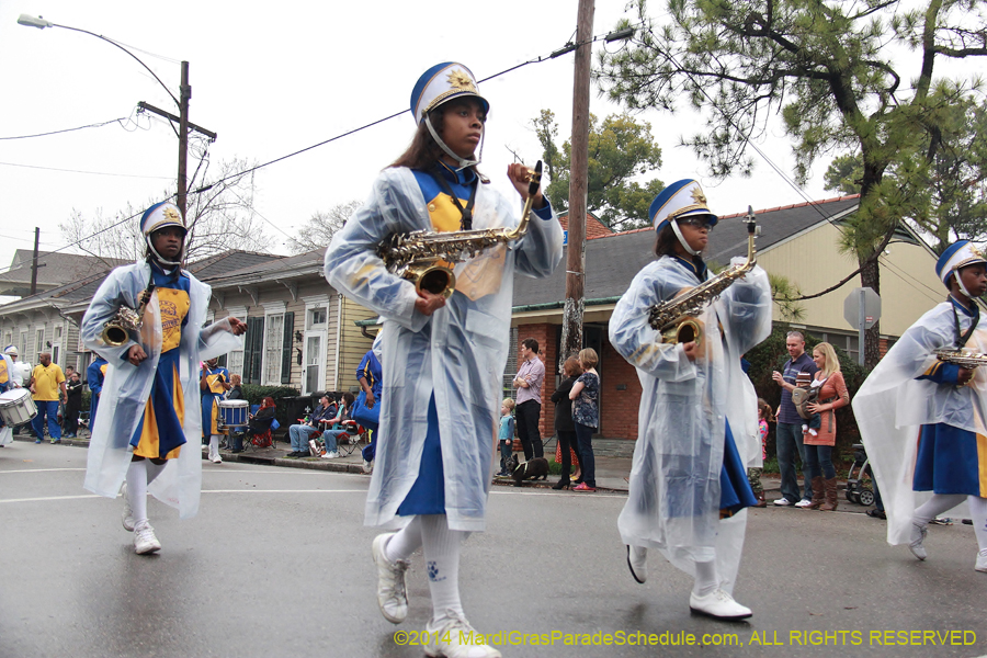 2014-Krewe-of-Carrollton11047