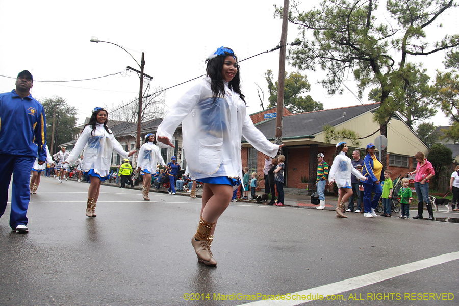 2014-Krewe-of-Carrollton11048