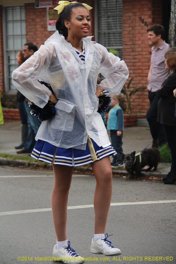 2014-Krewe-of-Carrollton11049