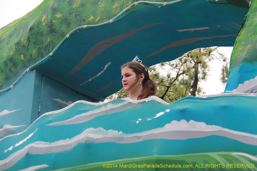 2014-Krewe-of-Carrollton11061