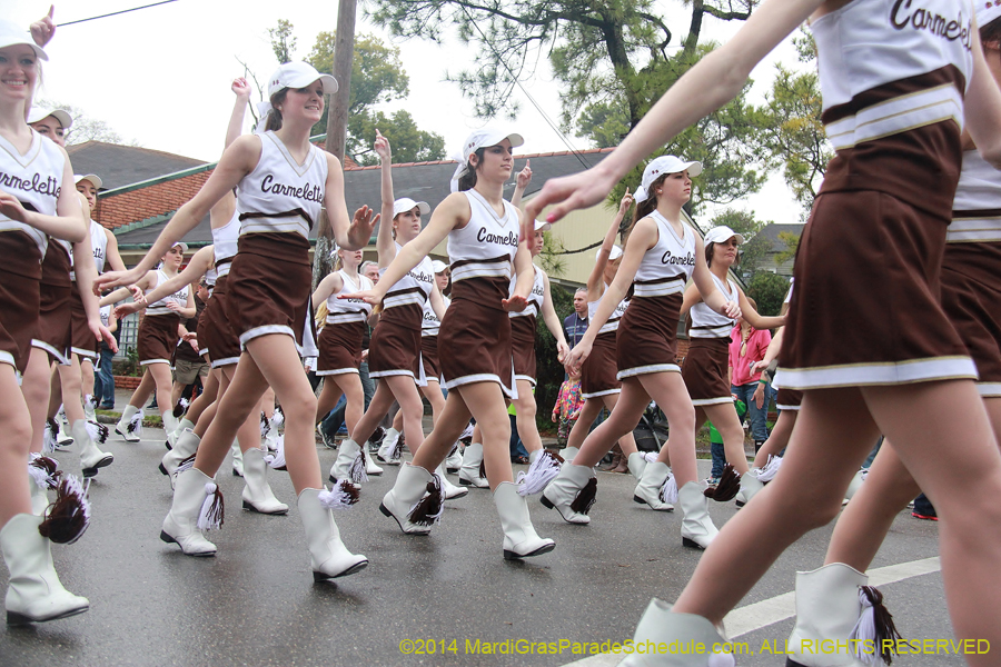 2014-Krewe-of-Carrollton11066