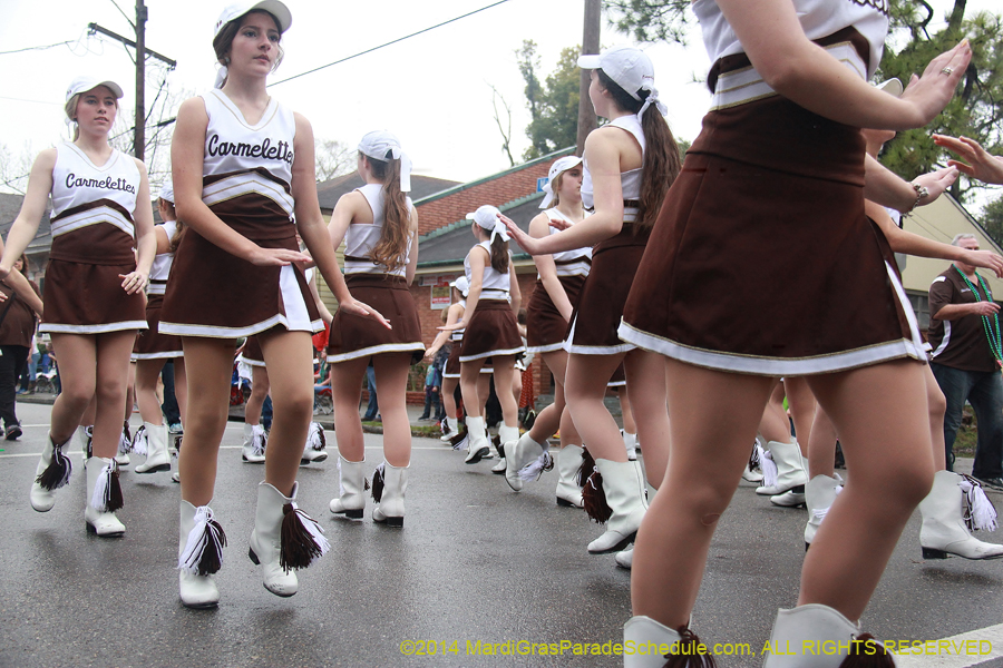 2014-Krewe-of-Carrollton11067