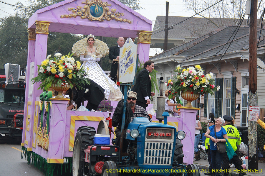 2014-Krewe-of-Carrollton11069