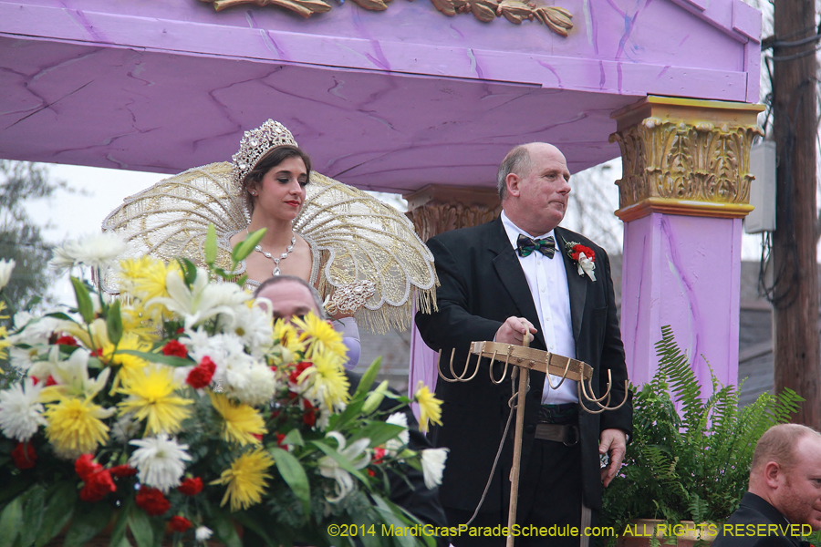 2014-Krewe-of-Carrollton11070