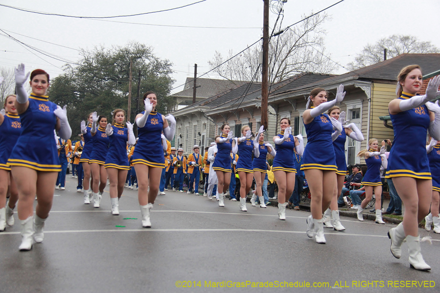 2014-Krewe-of-Carrollton11082