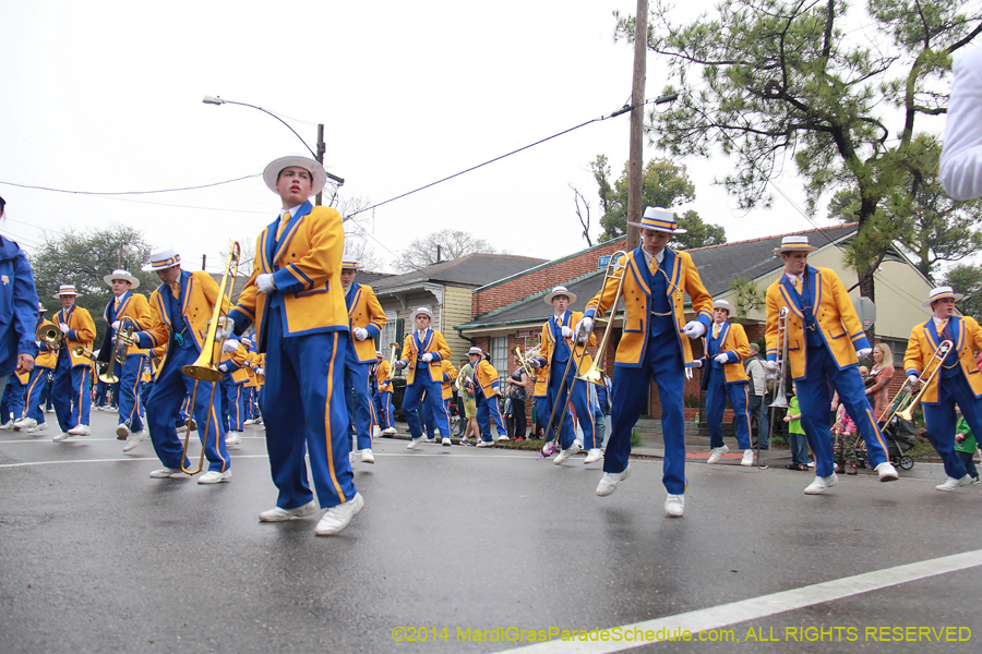 2014-Krewe-of-Carrollton11084