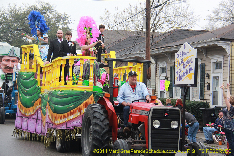 2014-Krewe-of-Carrollton11088